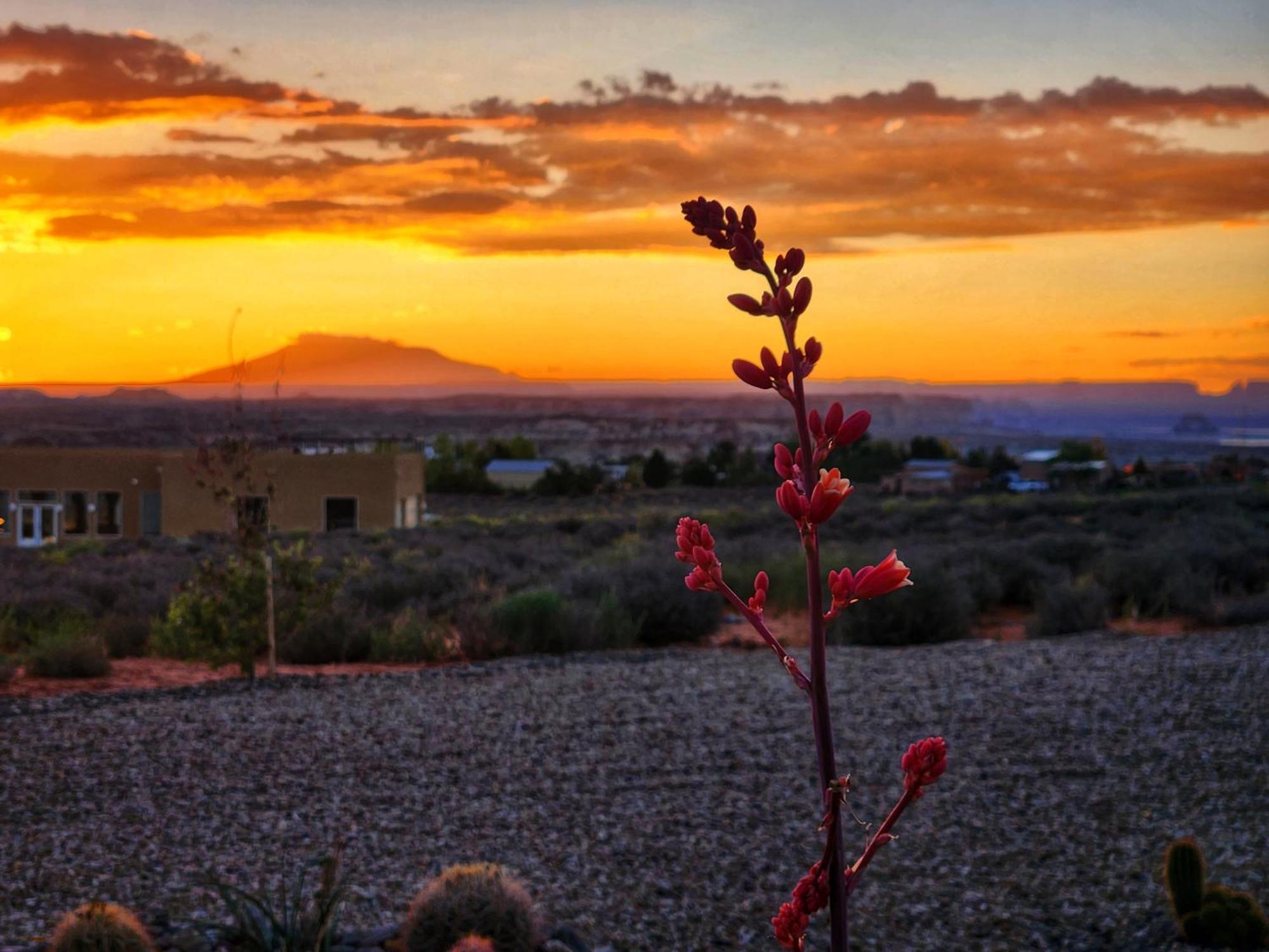 Lake Powell Sunrise Villa By Antelope Canyon Big Water Eksteriør bilde